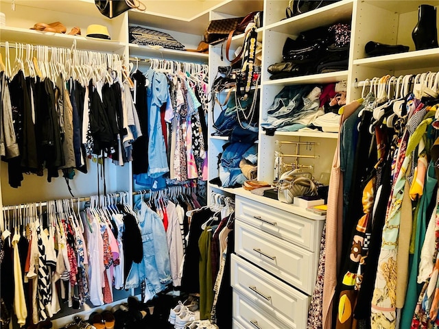 view of walk in closet