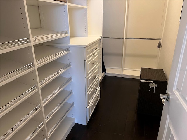 spacious closet featuring dark wood finished floors