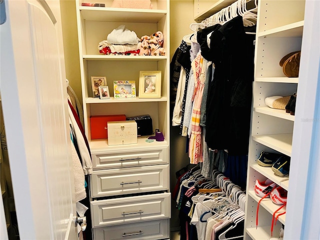 view of spacious closet