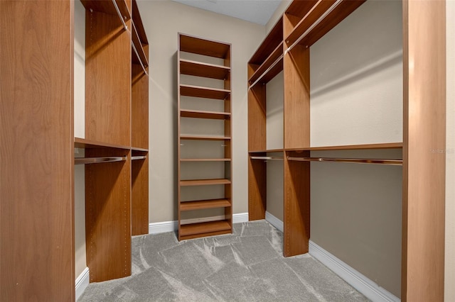 spacious closet with carpet floors