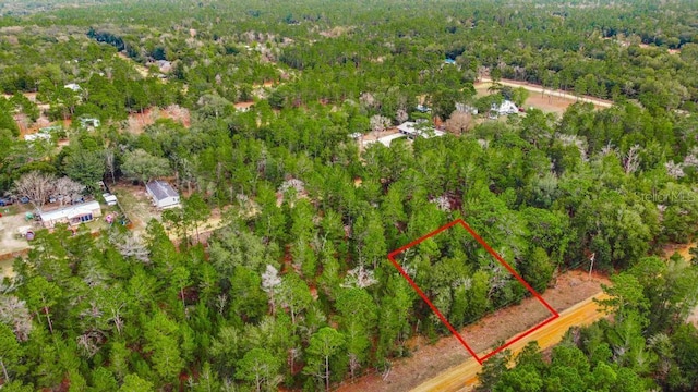 118 Cardinal St, Interlachen FL, 32148 land for sale