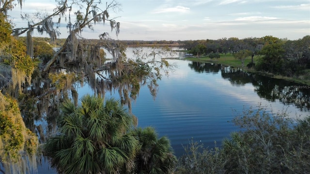 view of water feature