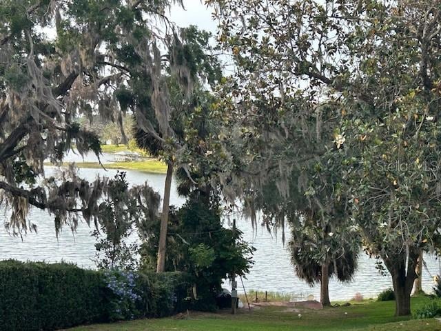 1400 Tedford St, Eustis, FL 32726 - photo 74