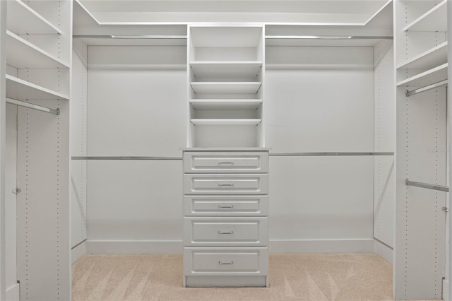 spacious closet with carpet