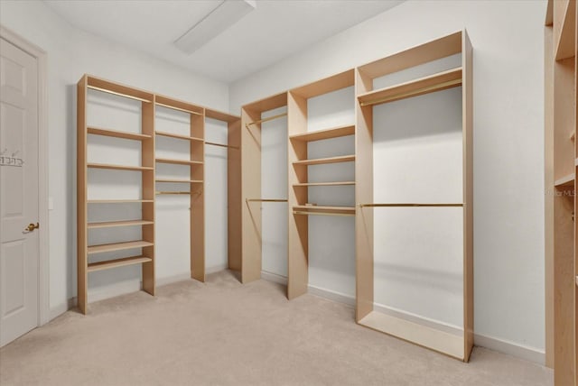 10616 Emerald Chase Dr, Orlando, FL 32836 - spacious closet featuring carpet floors