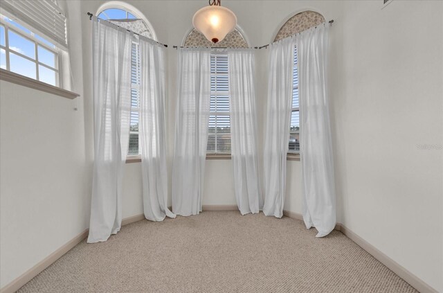 10616 Emerald Chase Dr, Orlando, FL 32836 - spare room featuring light carpet, plenty of natural light, and baseboards