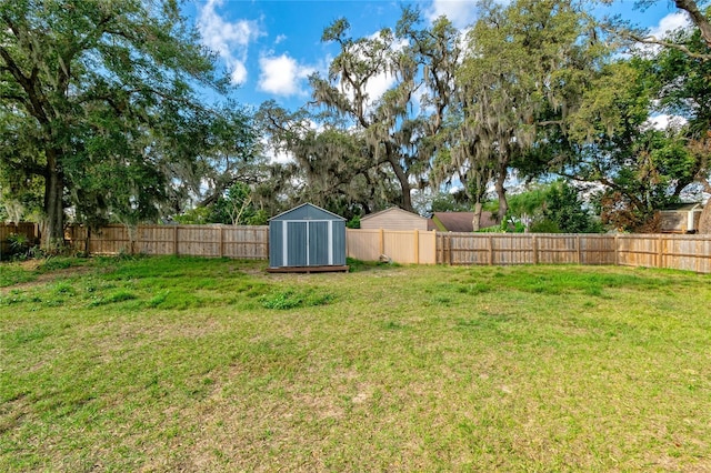 view of yard with a storage shed, an outdoor structure, and a fenced backyard