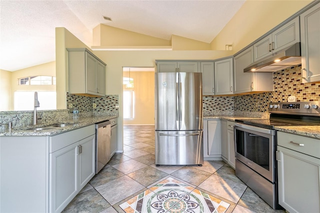 kitchen with lofted ceiling, stainless steel appliances, a sink, and under cabinet range hood