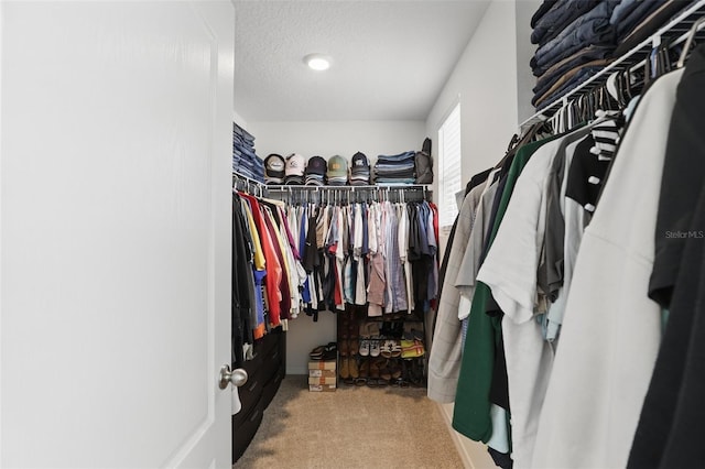 walk in closet with carpet floors