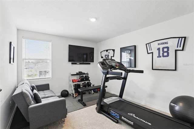 exercise area with a textured ceiling, carpet, and baseboards