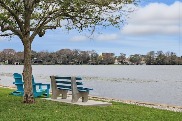 dock area featuring a water view and a yard