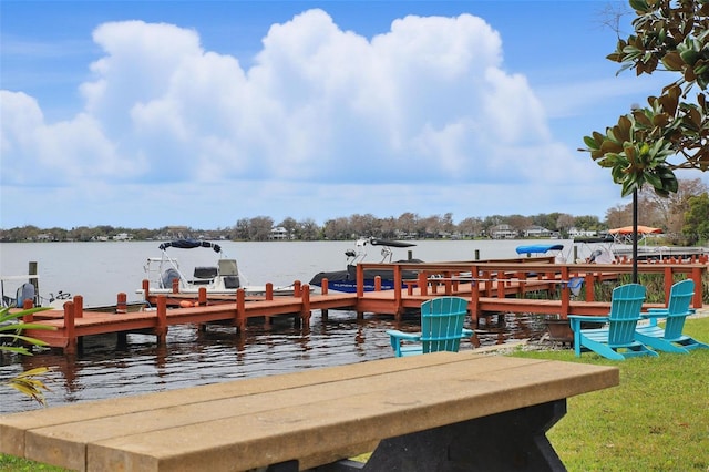 dock area with a water view