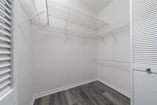 spacious closet with dark wood finished floors