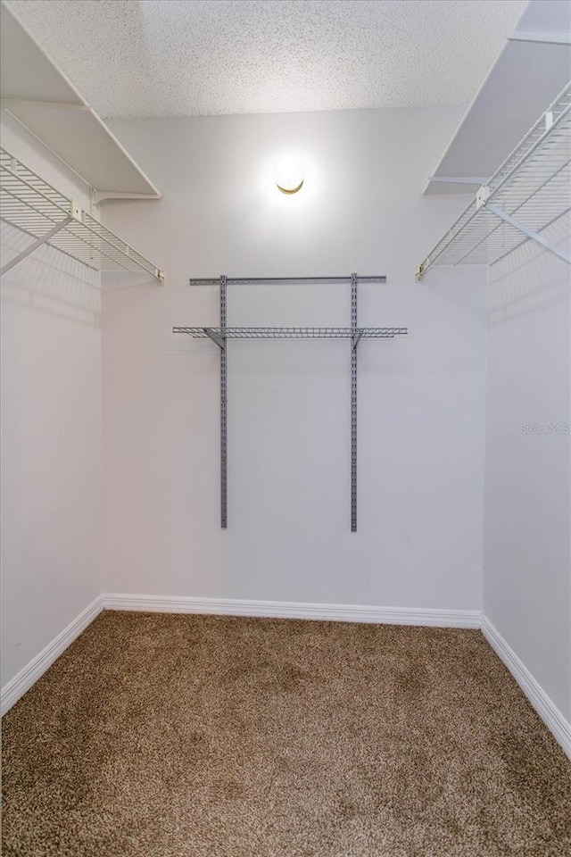 spacious closet with carpet