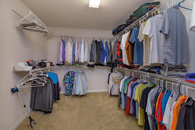 walk in closet featuring light colored carpet