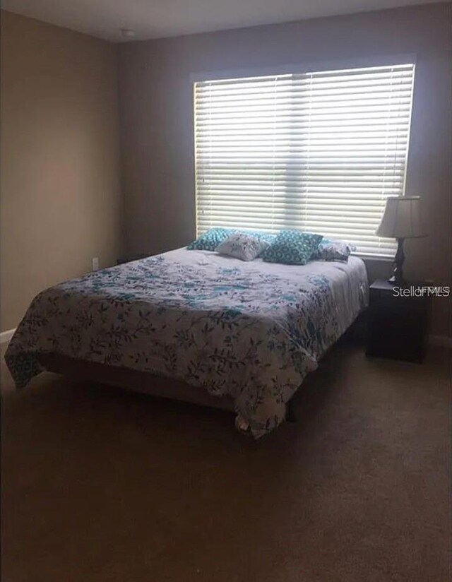 1560 Chelsea Dr, Davenport, FL 33897 - bedroom with carpet