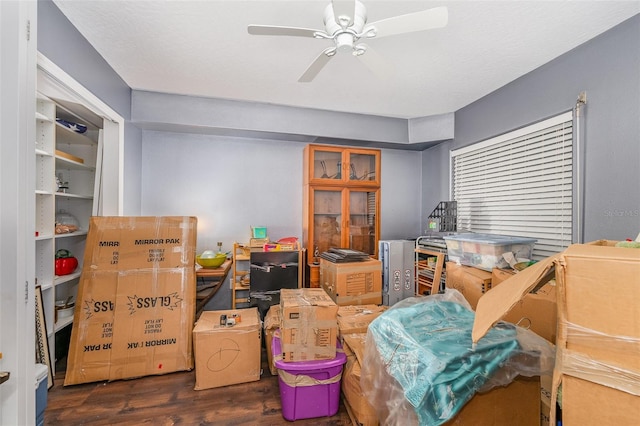 storage room featuring a ceiling fan