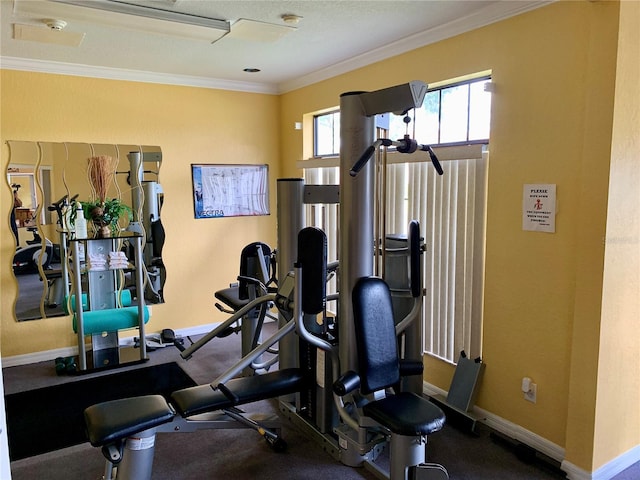 exercise room featuring ornamental molding and baseboards