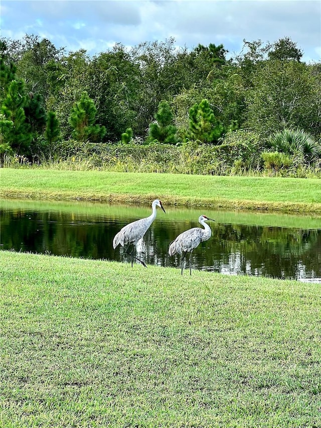 water view