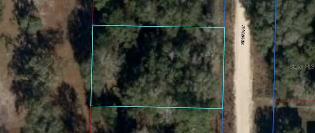 NE 110th Ct, Williston FL, 32696 land for sale