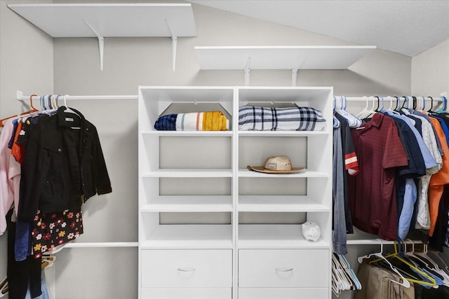 spacious closet with lofted ceiling