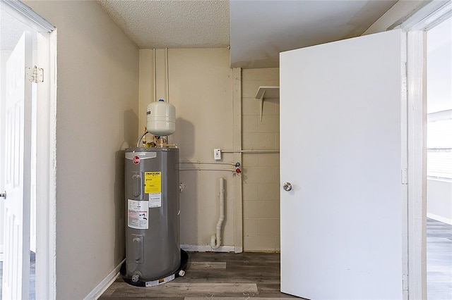 utility room with water heater