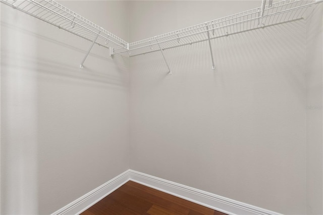 walk in closet featuring dark wood-type flooring