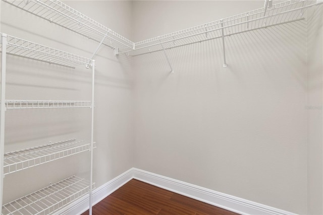 spacious closet featuring dark wood-style floors