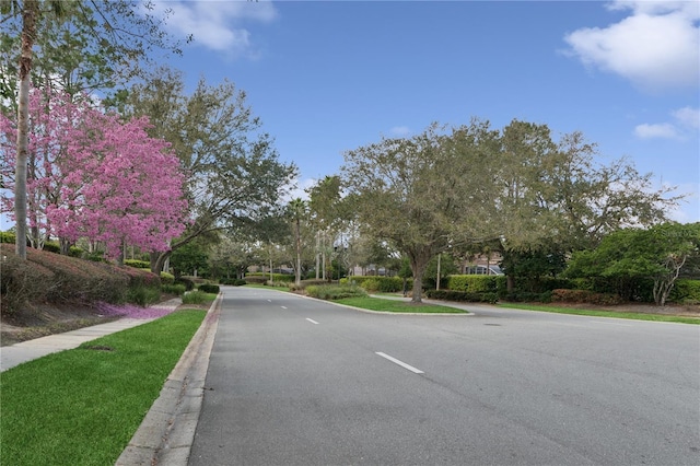 view of street with curbs and sidewalks