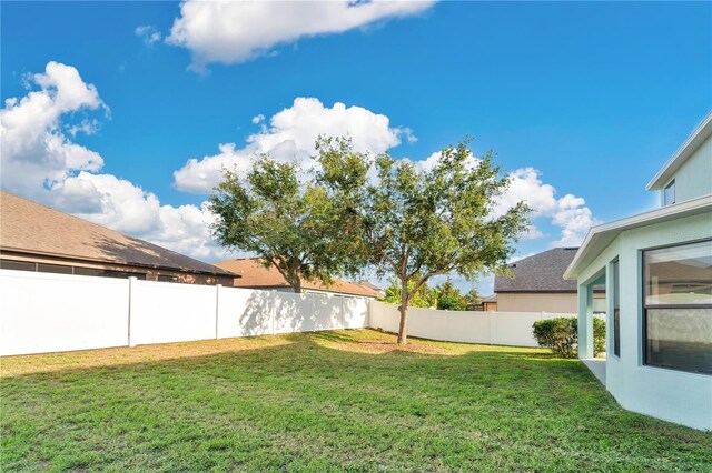 7108 Harvest Glen Ln, Riverview, FL 33578 - view of yard