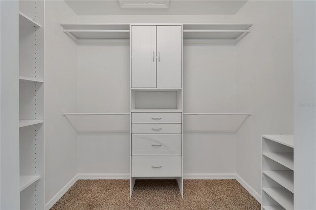 7108 Harvest Glen Ln, Riverview, FL 33578 - walk in closet with carpet floors