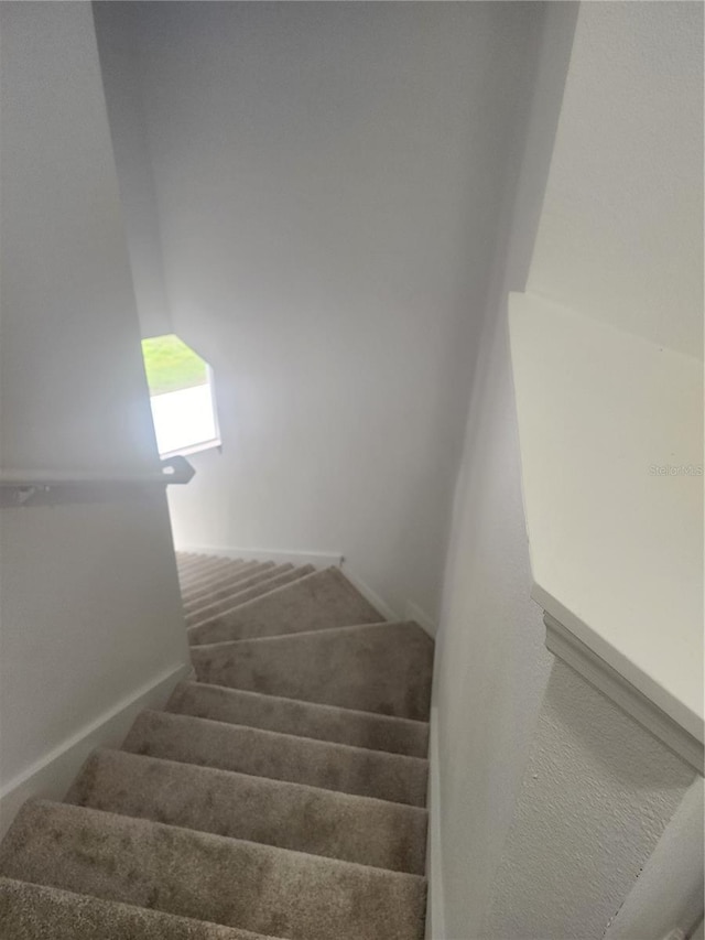 stairway featuring carpet floors and baseboards