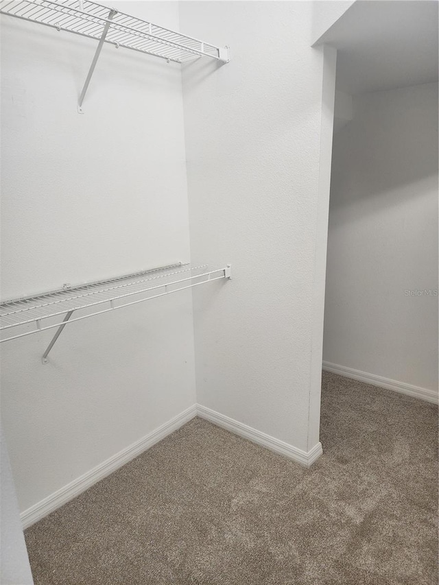 walk in closet featuring carpet