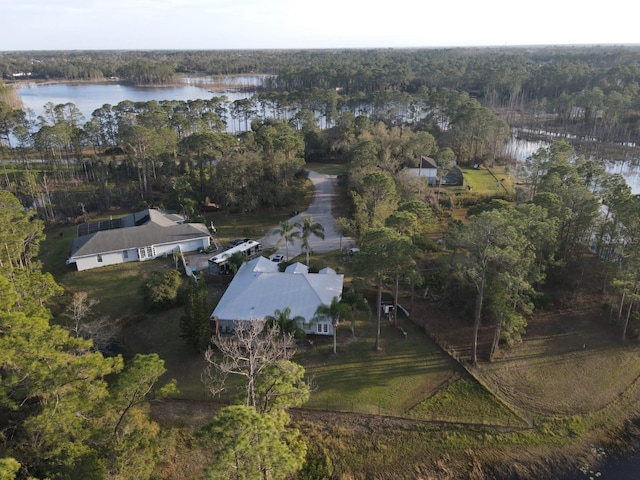 bird's eye view featuring a water view and a forest view