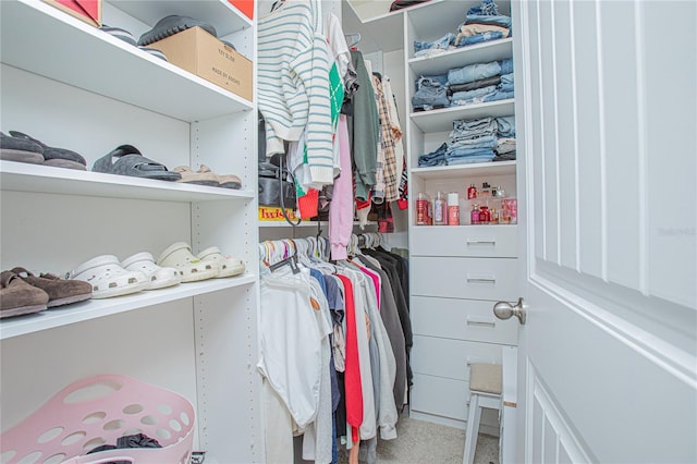 view of walk in closet