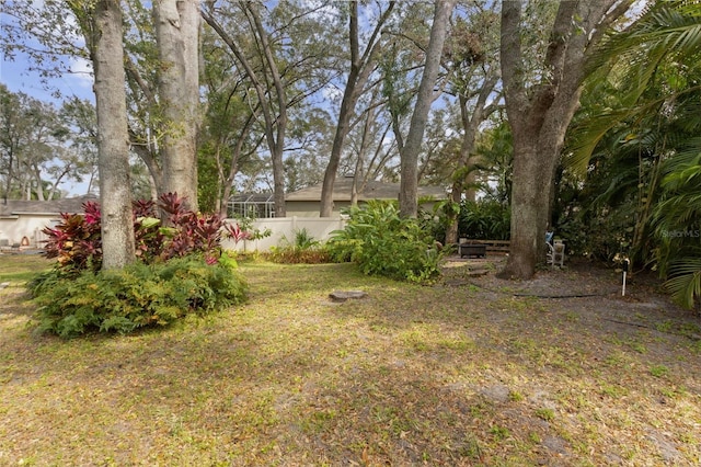 view of yard with a lanai