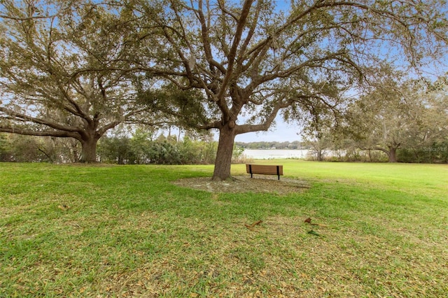 view of yard with a water view