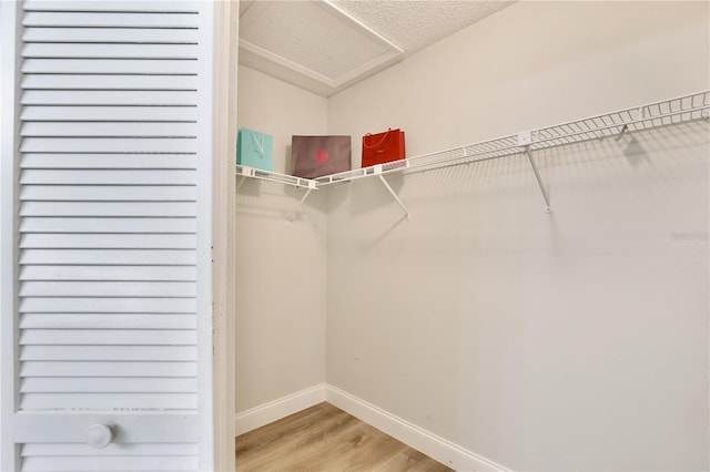 spacious closet featuring attic access and light wood-style flooring