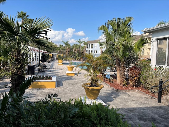 view of community with a patio and a swimming pool