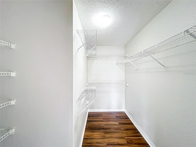 spacious closet with wood finished floors