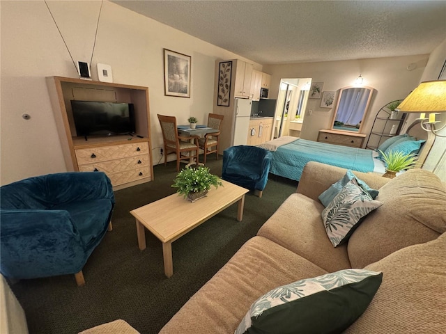 living room with dark carpet and a textured ceiling