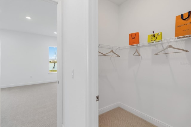 spacious closet with carpet