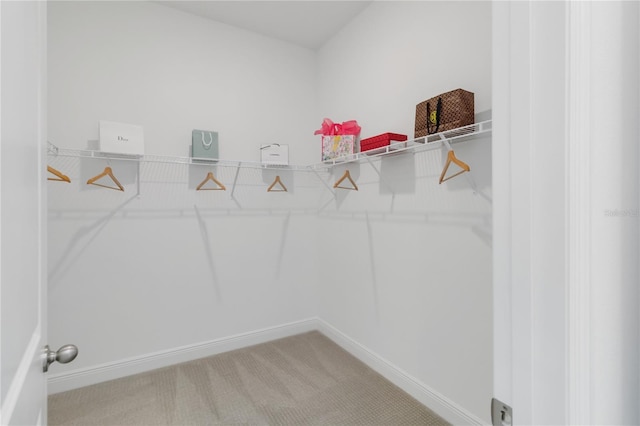 spacious closet with carpet flooring