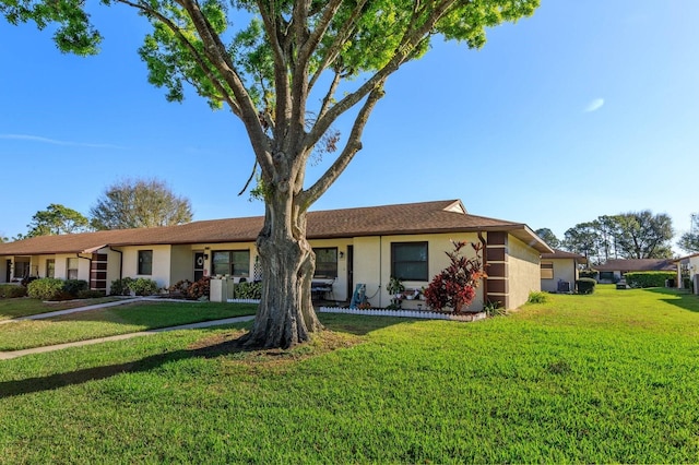 ranch-style home with a front yard and stucco siding