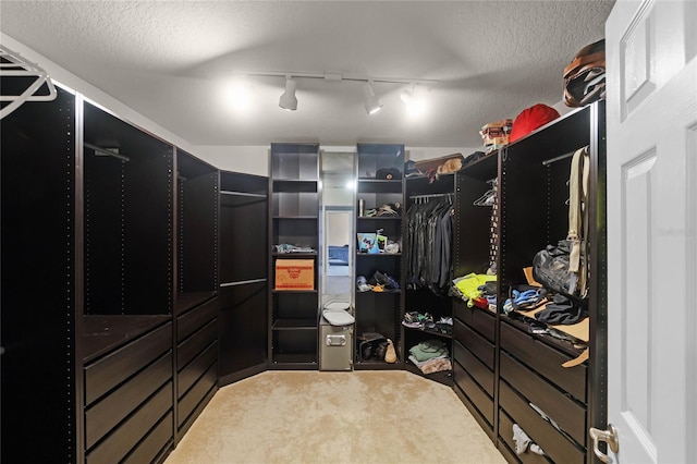 walk in closet with carpet flooring