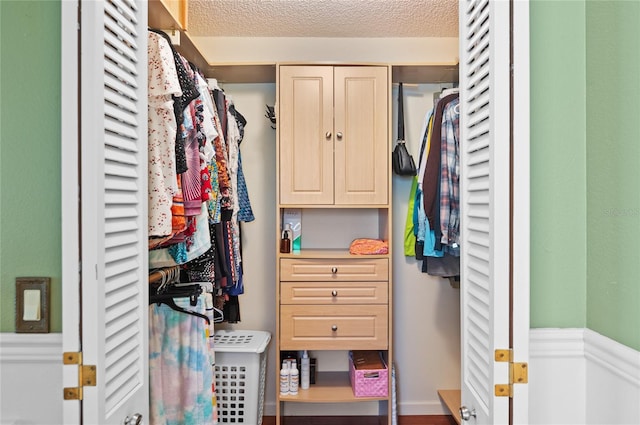 view of closet