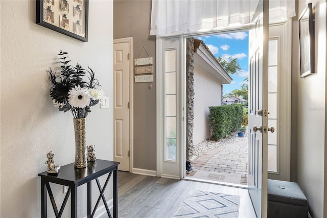 foyer entrance featuring wood finished floors and a healthy amount of sunlight