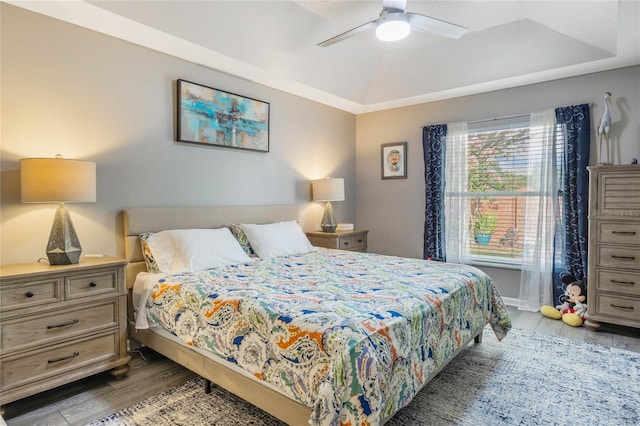 bedroom with a tray ceiling, ceiling fan, and wood finished floors