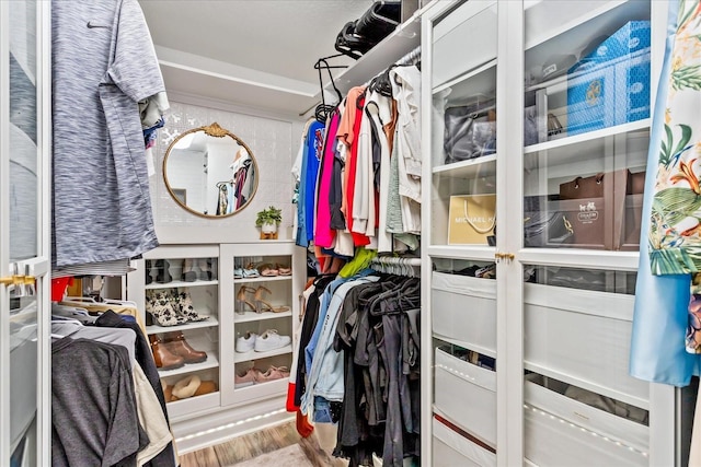 spacious closet featuring wood finished floors