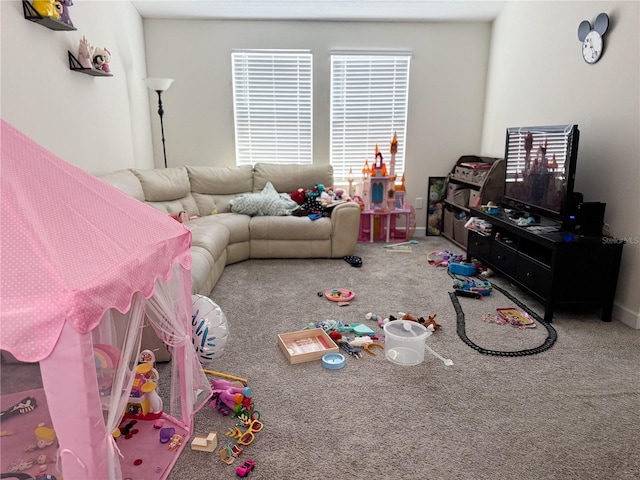 living area with carpet floors